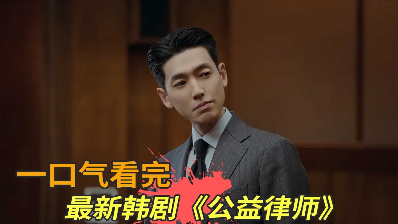 郑敬淏《公益律师》一口气看完，为正义而战！