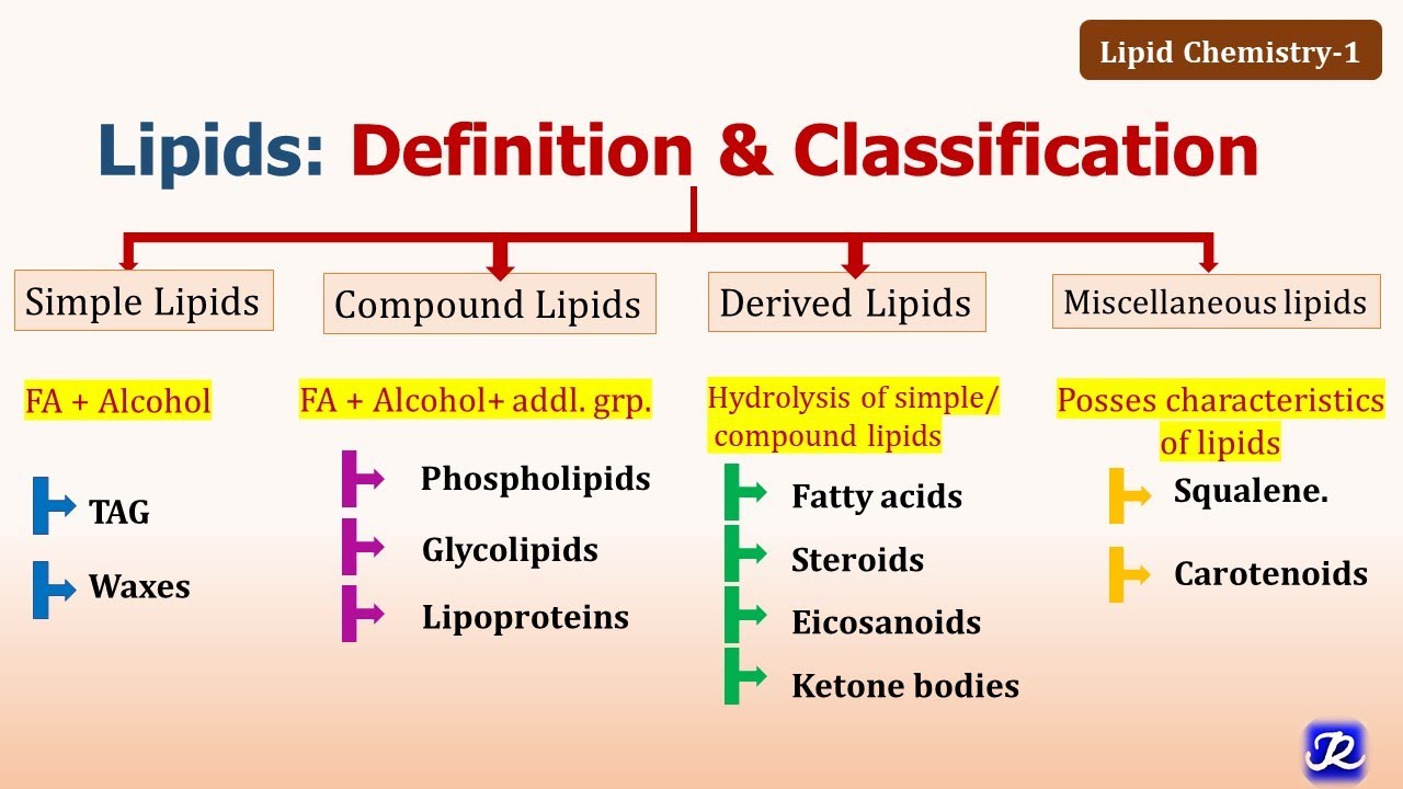 1: Lipids: Definition, Classification, functions |Lipid Chemistry-1| Biochemistry