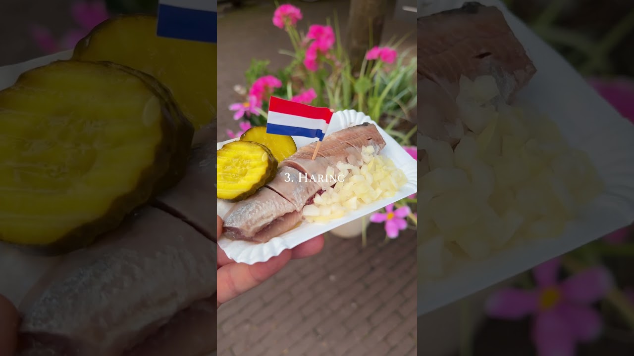 7 Things to do in Amsterdam 🇳🇱🤍