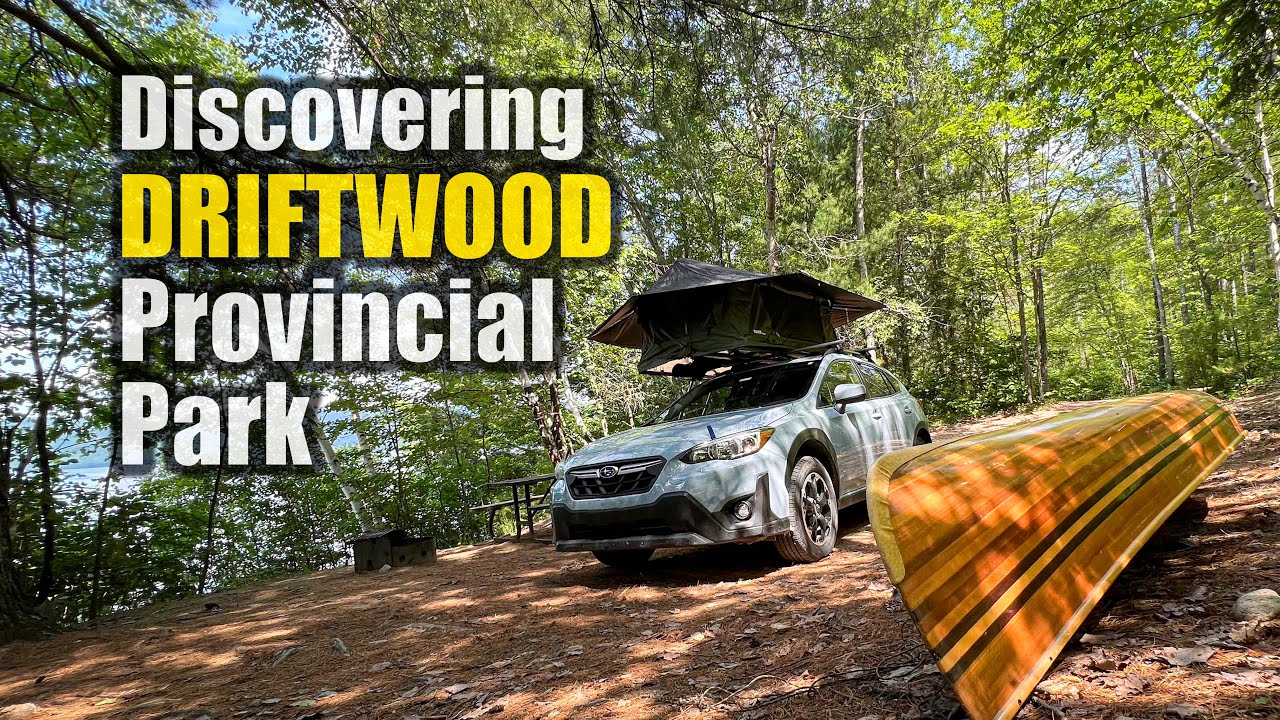 Finding Serenity in the New Growth: How Driftwood Provincial Park Became My Unexpected Oasis