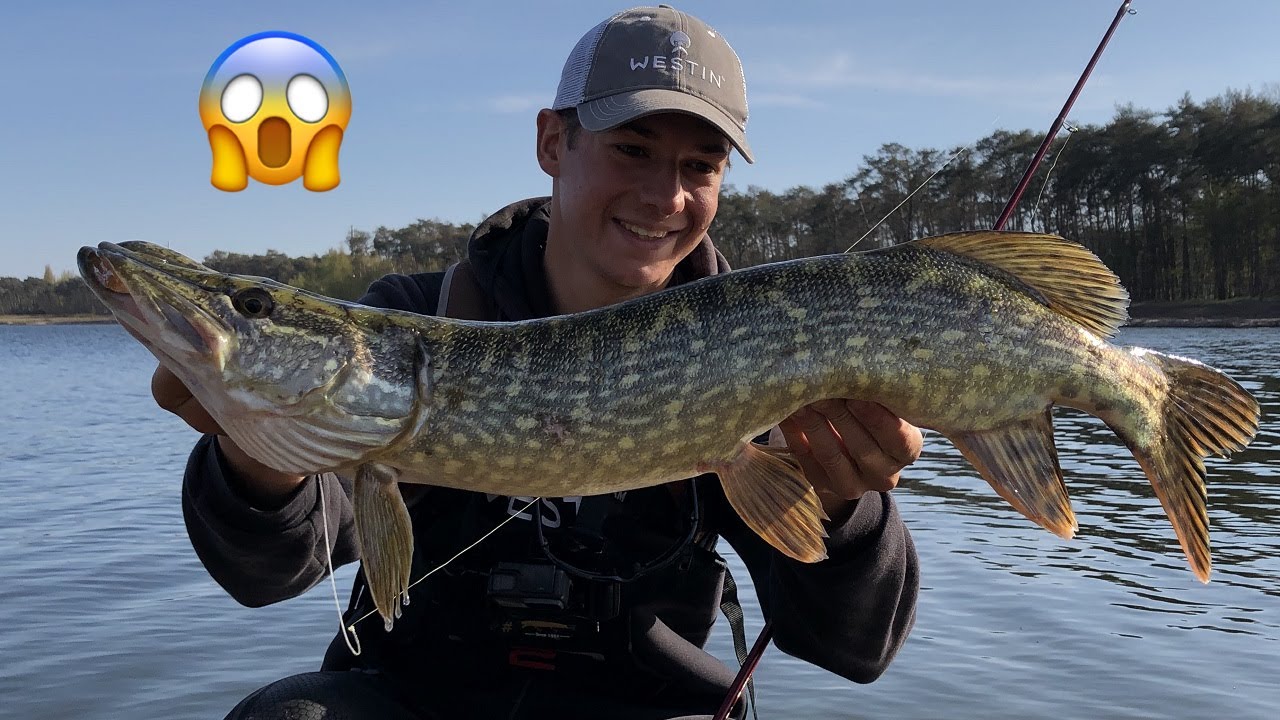 Those Strikes Are INSANE!!! Big Pike Fishing With Small Softbaits On Heavy Jigs Part 3