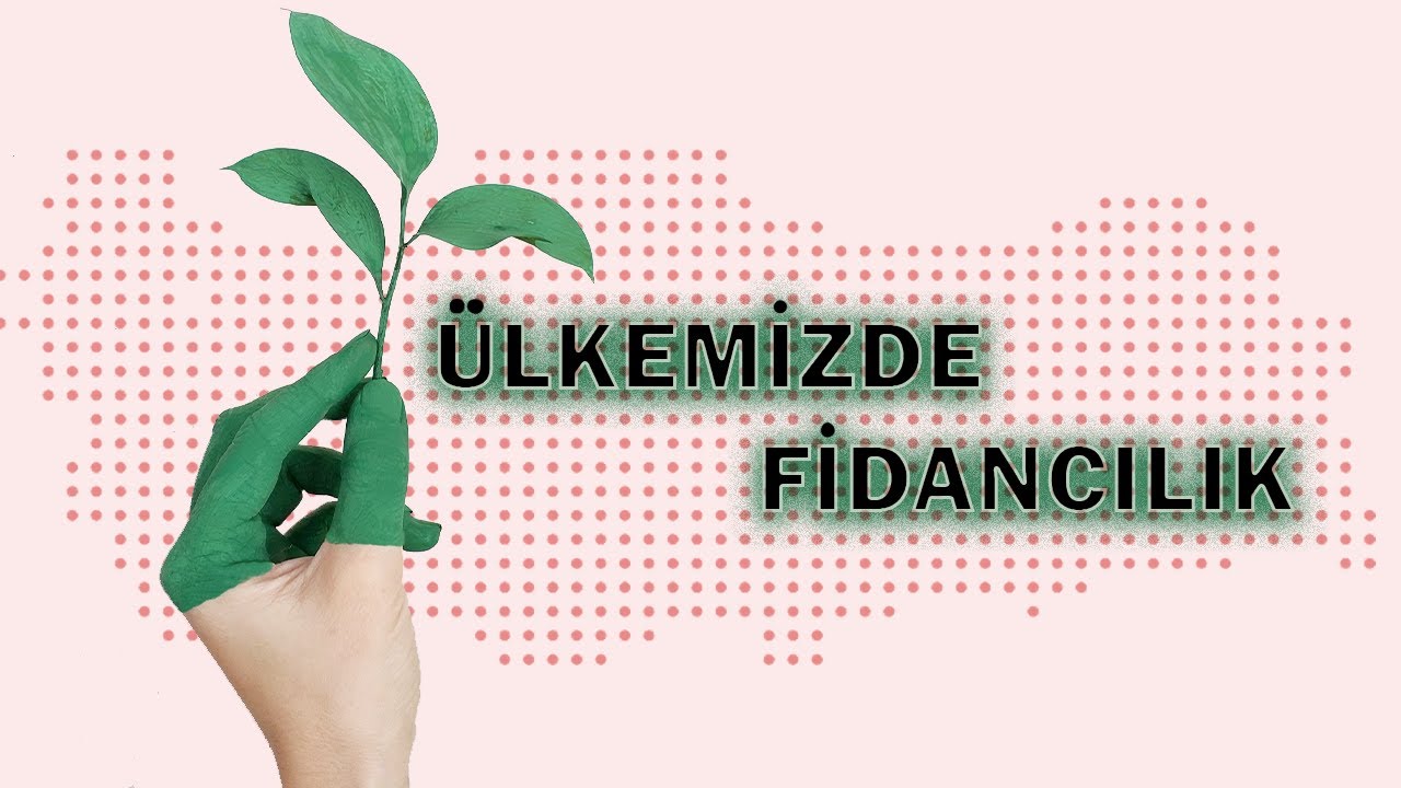 Ülkemizde Fidancılık |  FİDAN VE HAYAT