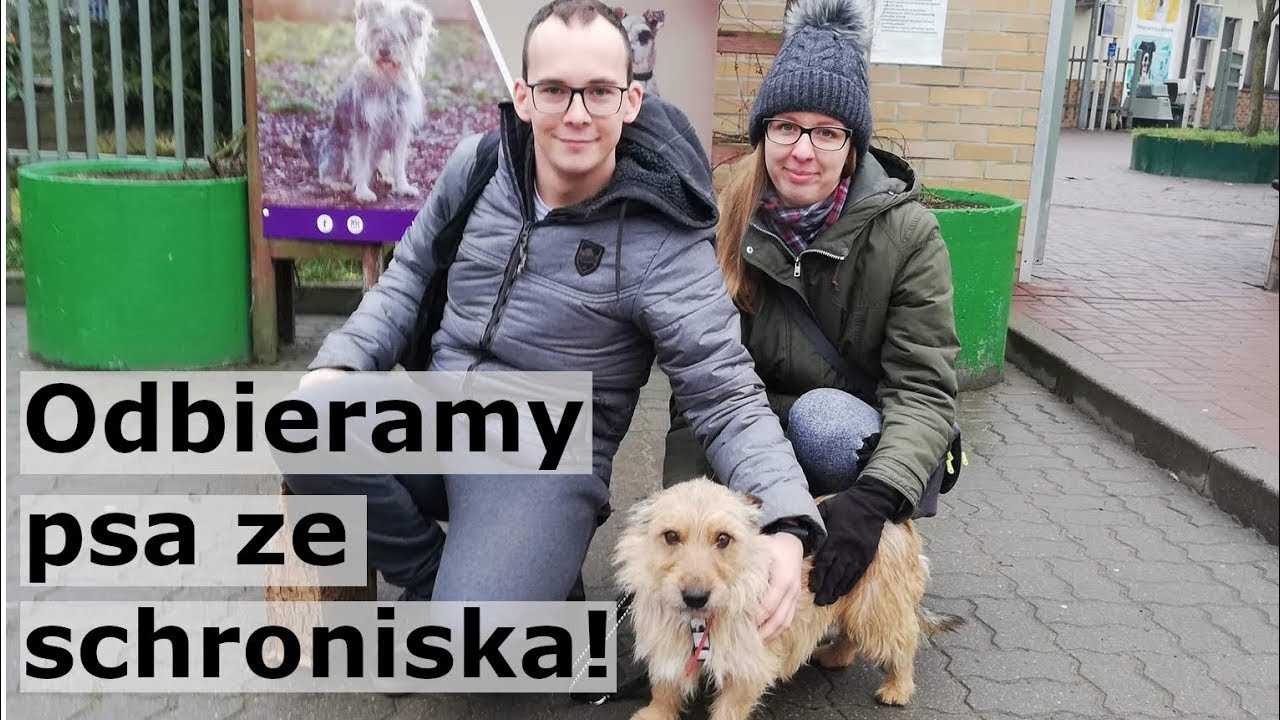 Adoptujemy chorego psa ze schroniska - w końcu jedziemy do domu!  | Adopcja psa #5