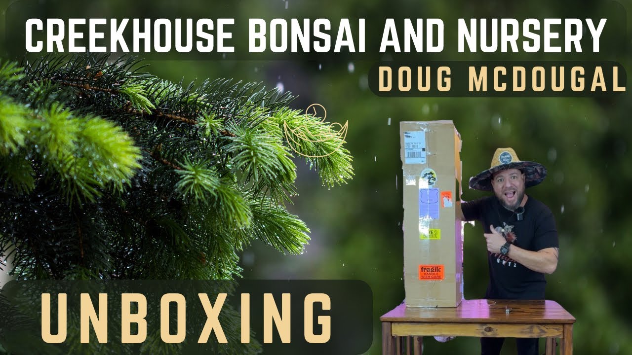 UNBOXING Mystery Box [Creekhouse Bonsai And Nursery] & [Doug McDuogal]