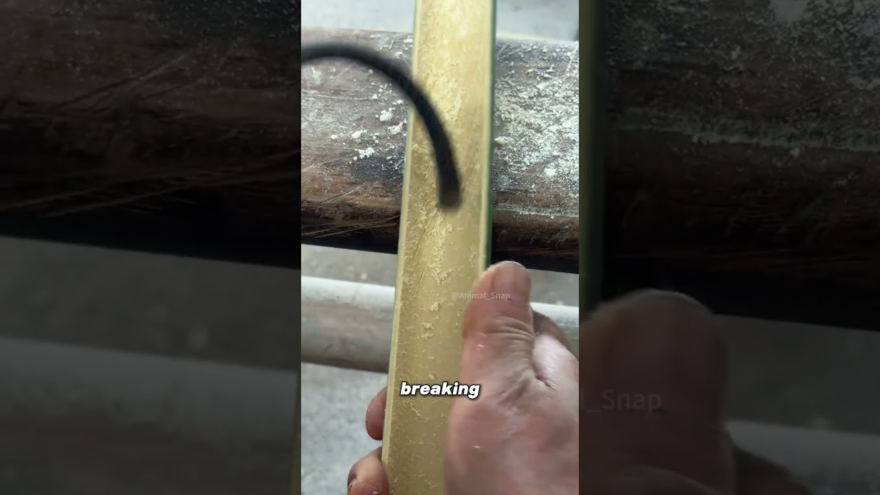How Bamboo is Flattened for Crafting.