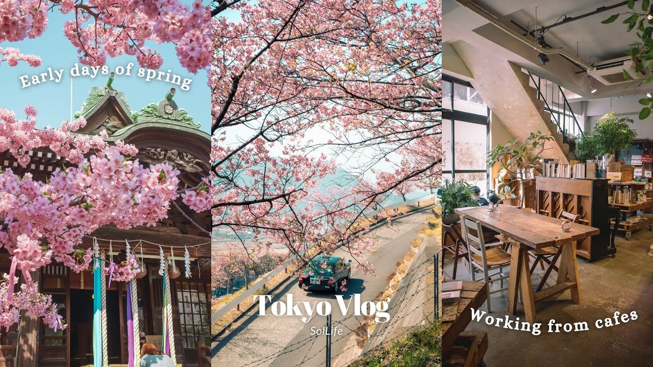 TOKYO VLOG| Early days of Spring, Matsuda Cherry Blossom Festival, Sakura Jingu Shrine, New camera