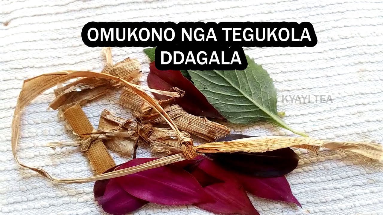 Omukono Gwo nga Tegukola Ddagala Kola Bino Gukole Eddagala