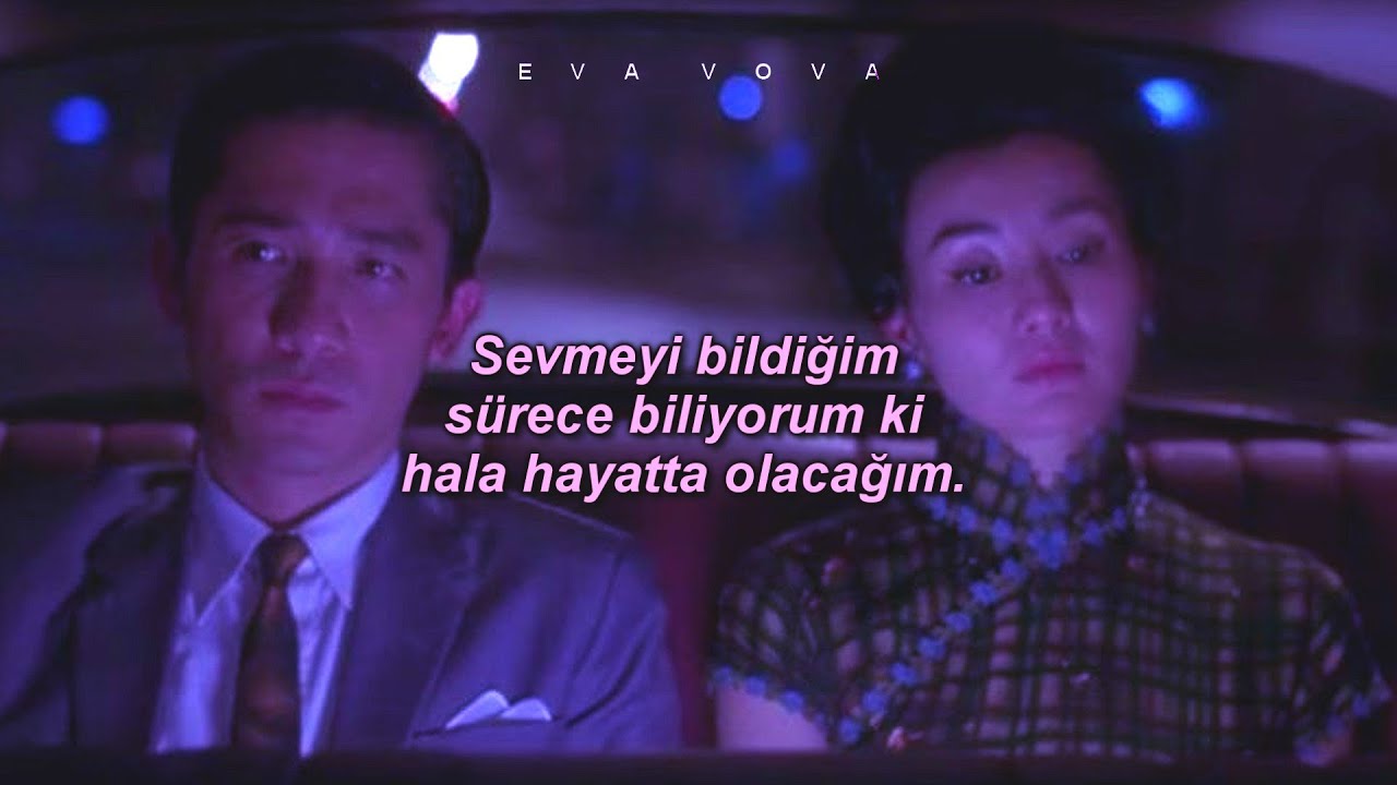 Gloria Gaynor - I Will Survive (Türkçe Çeviri)