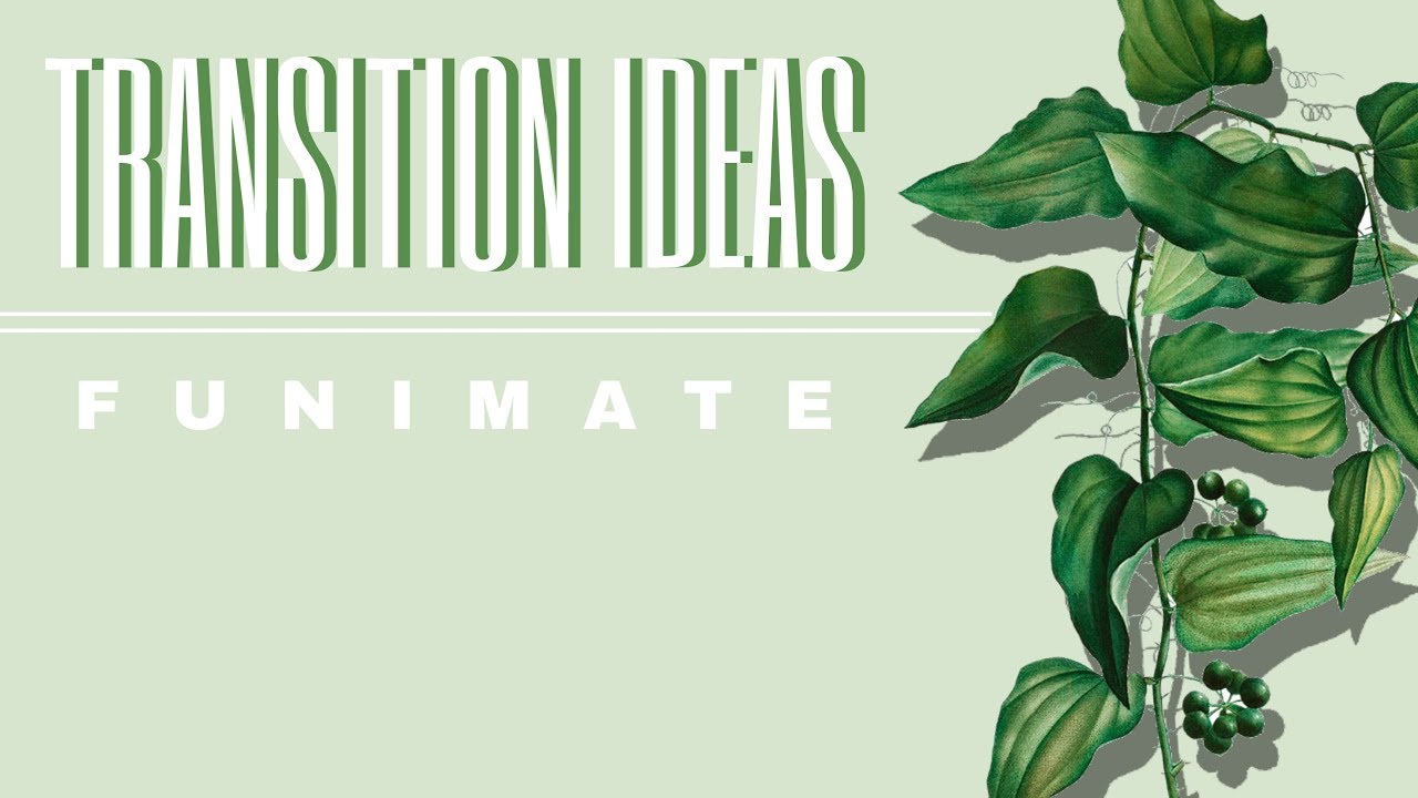 transition ideas for funimate (p.4)