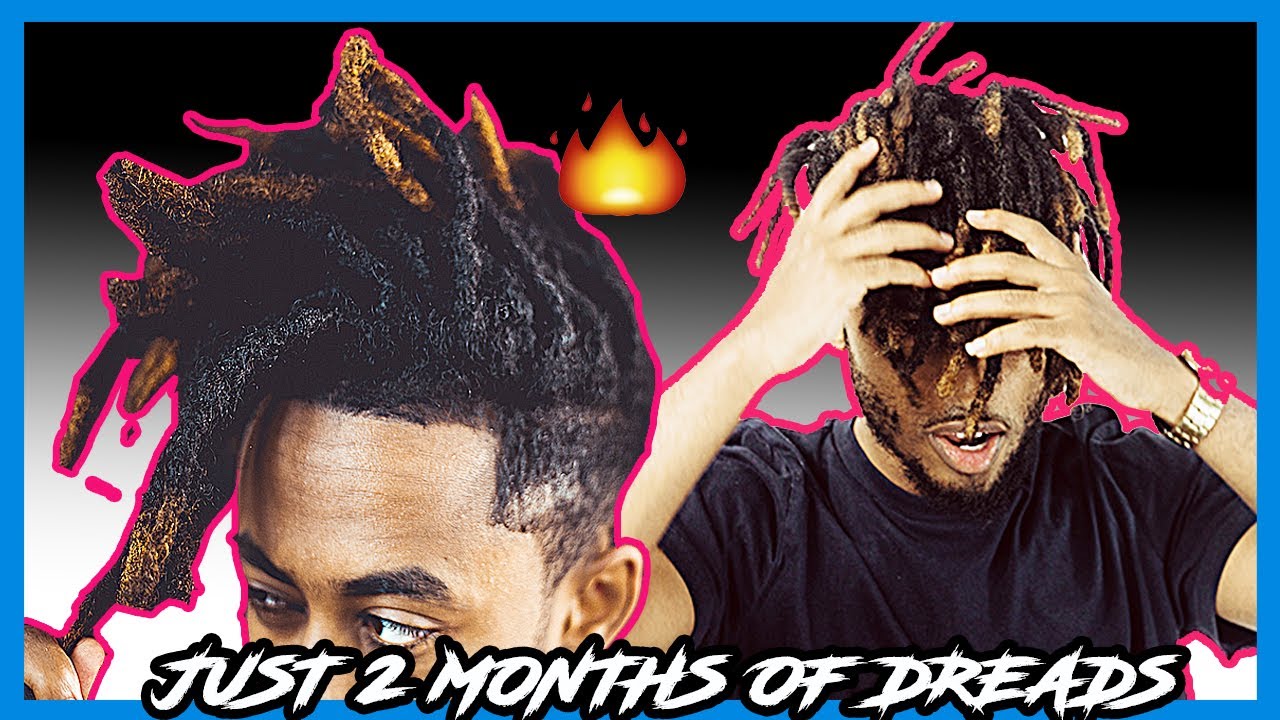 2 Months of DREADLOCK update