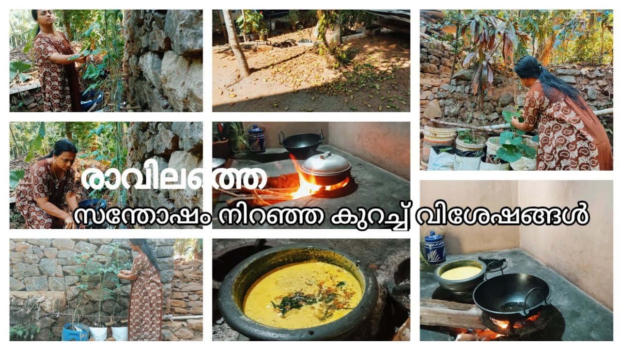 രണ്ട് നേരം വെള്ളം കൊടുക്കും 💞 പിന്നേം ചോദിക്കും 😍 Village Lifestyle | Nadan Oottupura @77