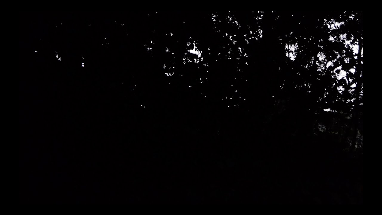 Thunderstorm sound, german summer night Gewitter