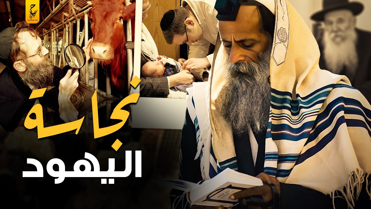 بين دم الحيض وجثث الموتى.. كيف سيطرت النجاسة على حياة اليهود؟