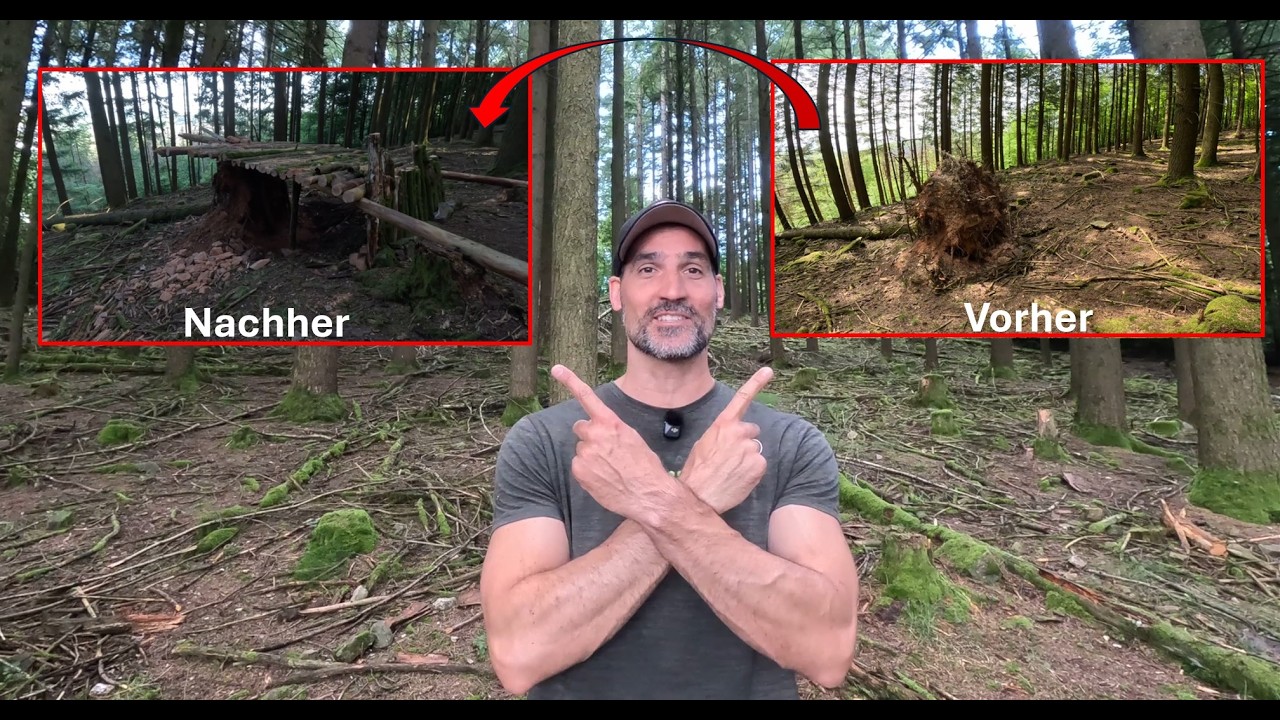 Vom umgestürzten Baum zum Bushcraft Shelter_Teil 1