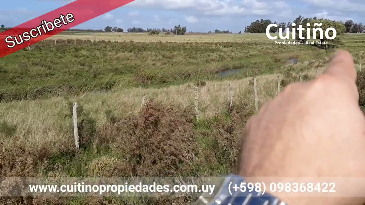 Muy buen campo de 7 hectáreas con arroyo en Lavalleja Uruguay (VENDIDO)