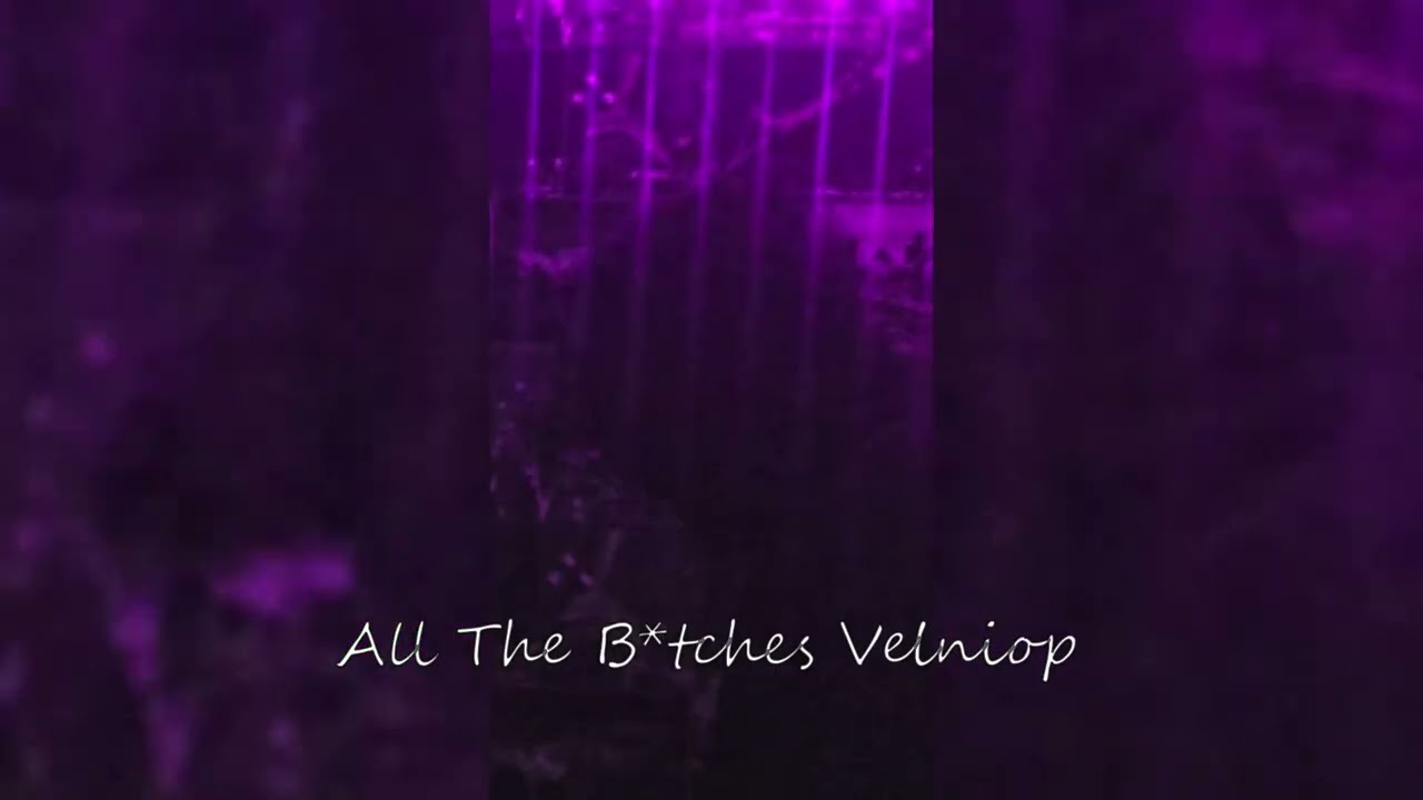 TheDavisD - VELNIOP