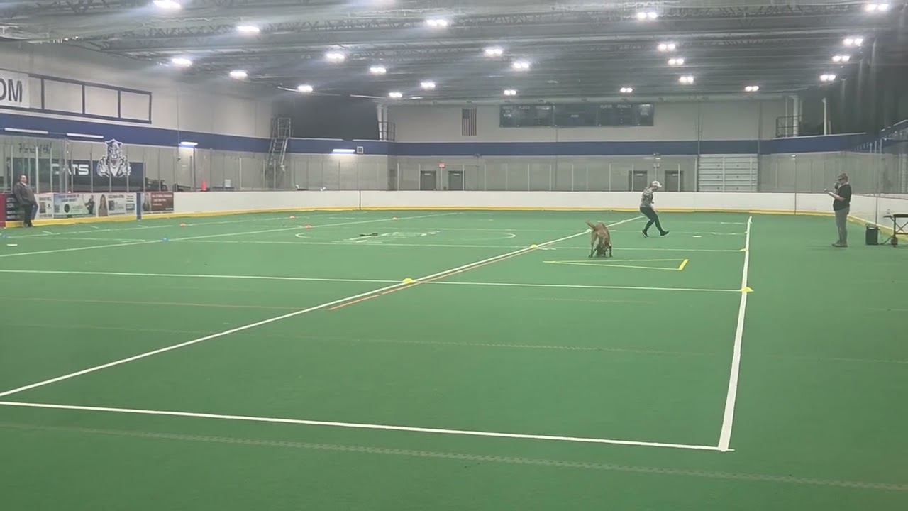 Lemon-Updog 4 Way Play(Mar 14)