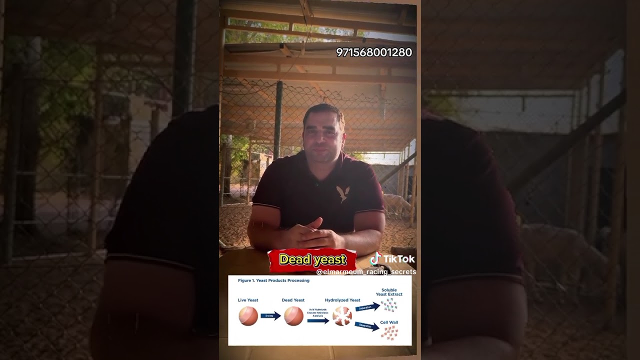 حسم الجدل بين مادتين الخميرة الحيه والخميرة الجافة أيهما لركاب الركض والحيونات