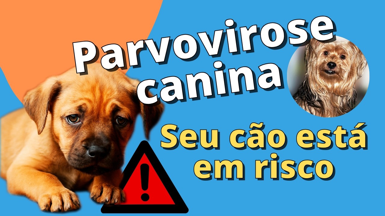 Parvovirose Canina O Perigo Silencioso que Ameaça seu Cão!