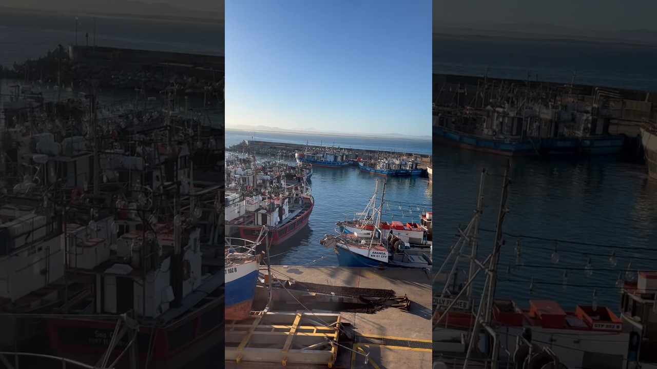 Port St Francis bay, Eastern Cape #shortsvideo #youtubeshorts #travelvlog #vlog #easterncape #trend