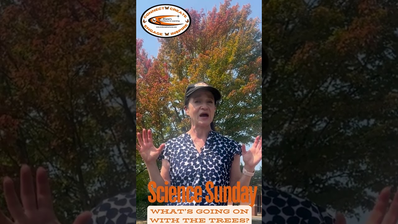 Science Sunday: What&rsquo;s Going On With the Trees