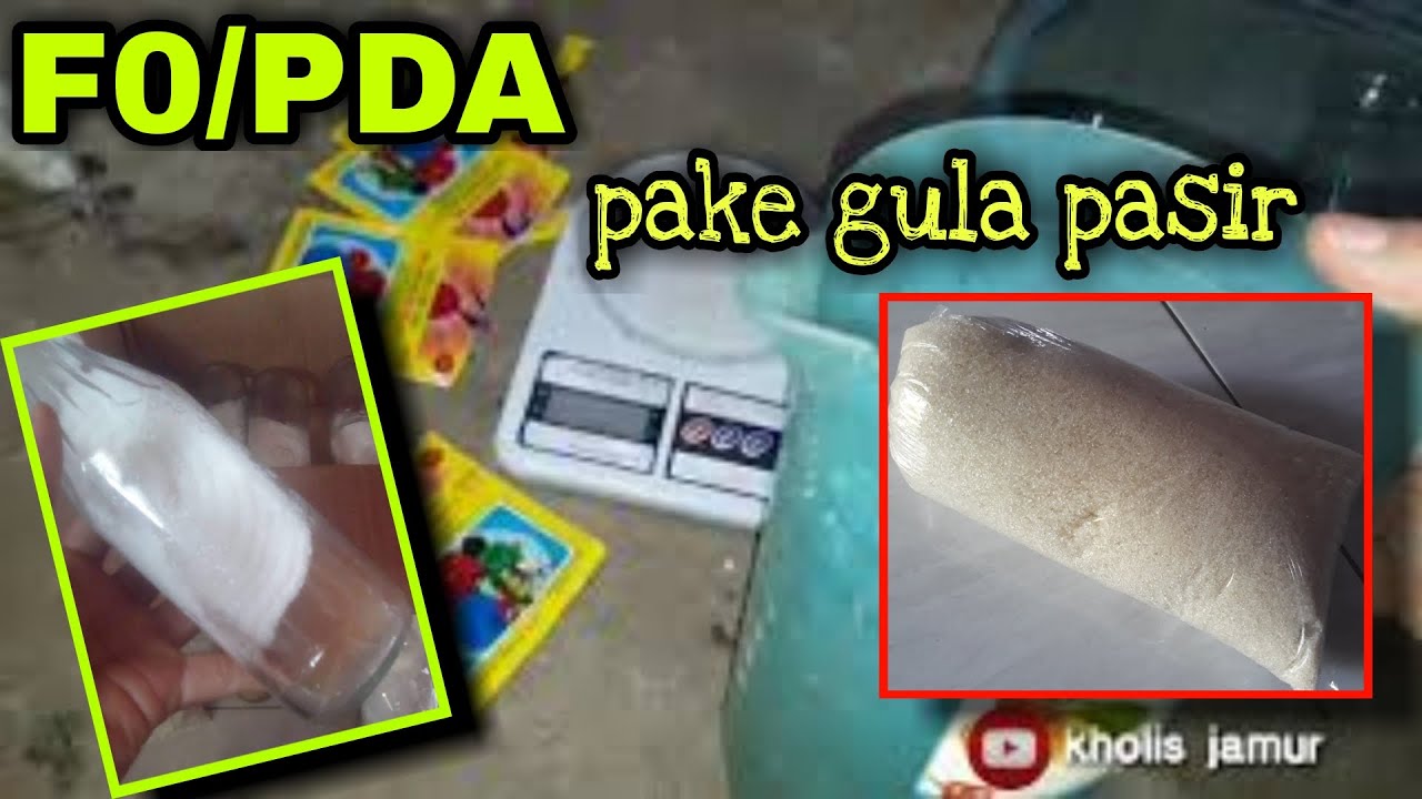 CARA MEMBUAT BIBIT JAMUR PDA PAKE GULA PASIR