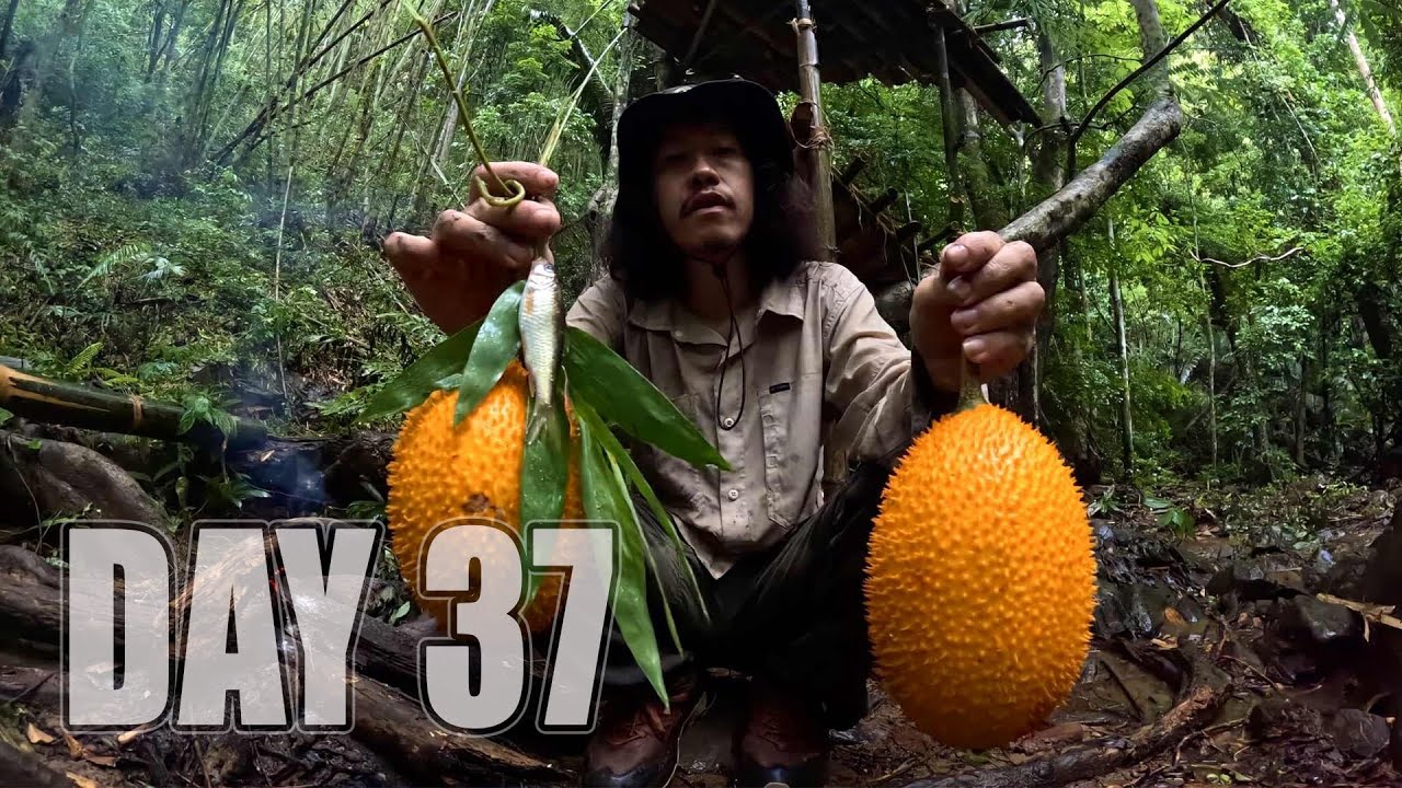 เอาชีวิตรอด DAY 37 ประดิษฐ์เบ็ดตกปลาจากวัสดุธรรมชาติเพื่อหาอาหาร ..!! [ โจโฉ ]