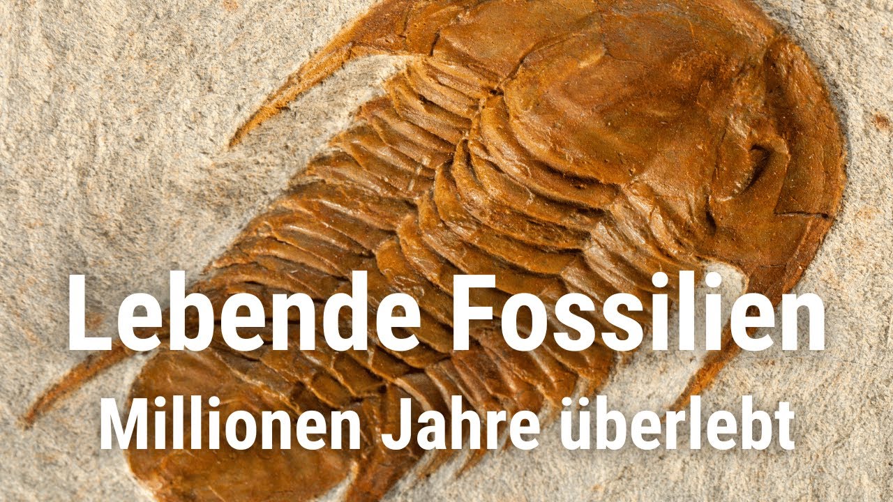 Zeitlose &Uuml;berlebensk&uuml;nstler &ndash; Die faszinierende Welt der lebenden Fossilien