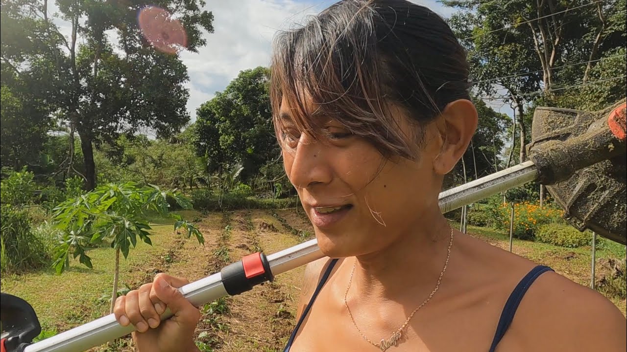 Farm updates at King Tower Farm (2020)