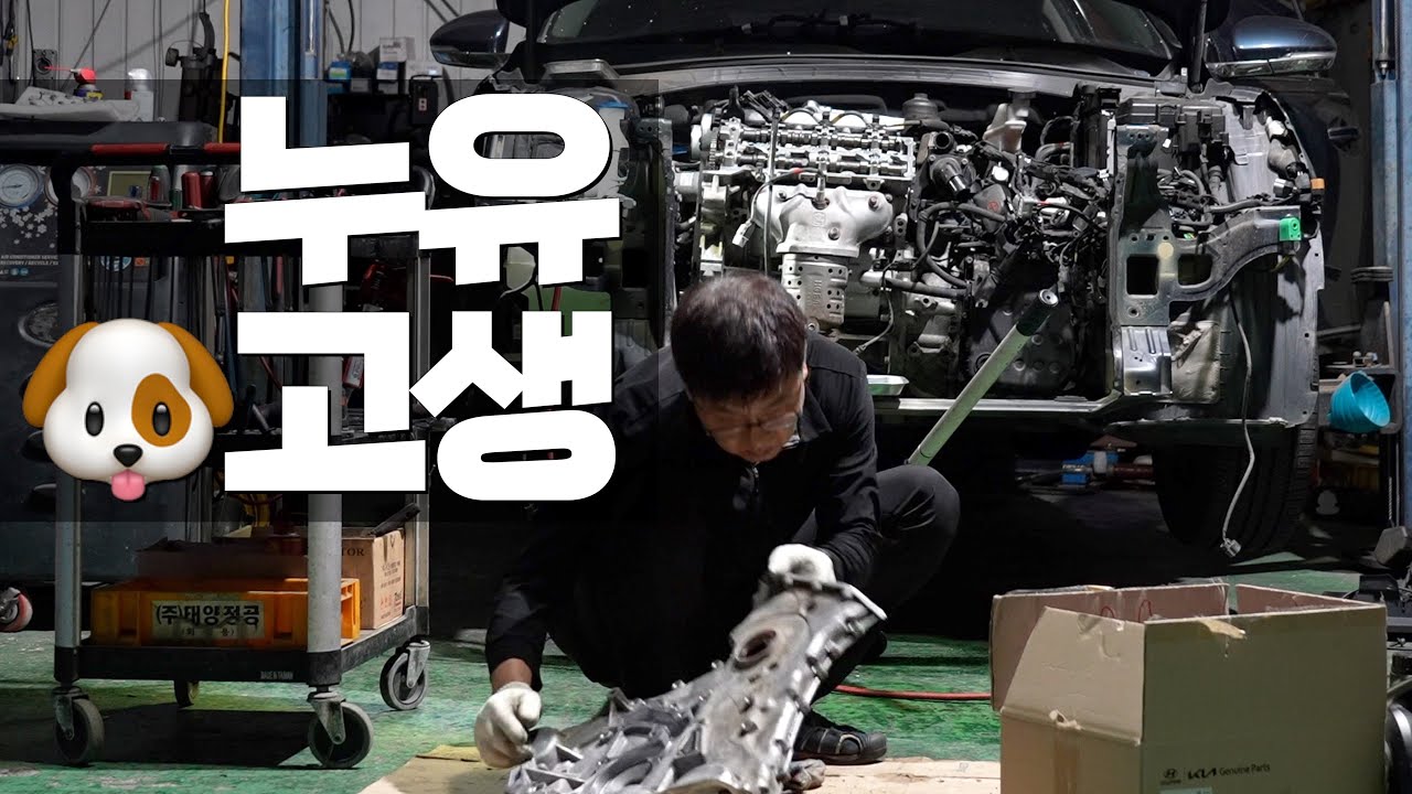 누유 때문에 고생이란 고생은 다하네 / kia K7 LPi 프론트 케이스 누유