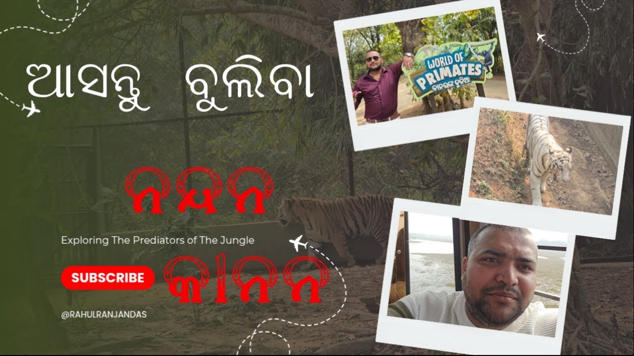 ଆସନ୍ତୁ ଯିବା ନନ୍ଦନ କାନନ || କଣ ମଜା ମସ୍ତି କରିଲୁ ଆମେ ଦେଖିବା |
