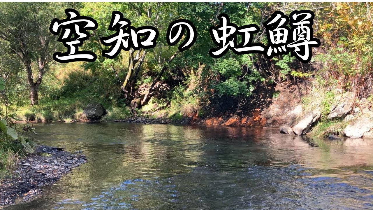 ドライフライで釣り上がり［北海道］［ニジマス］