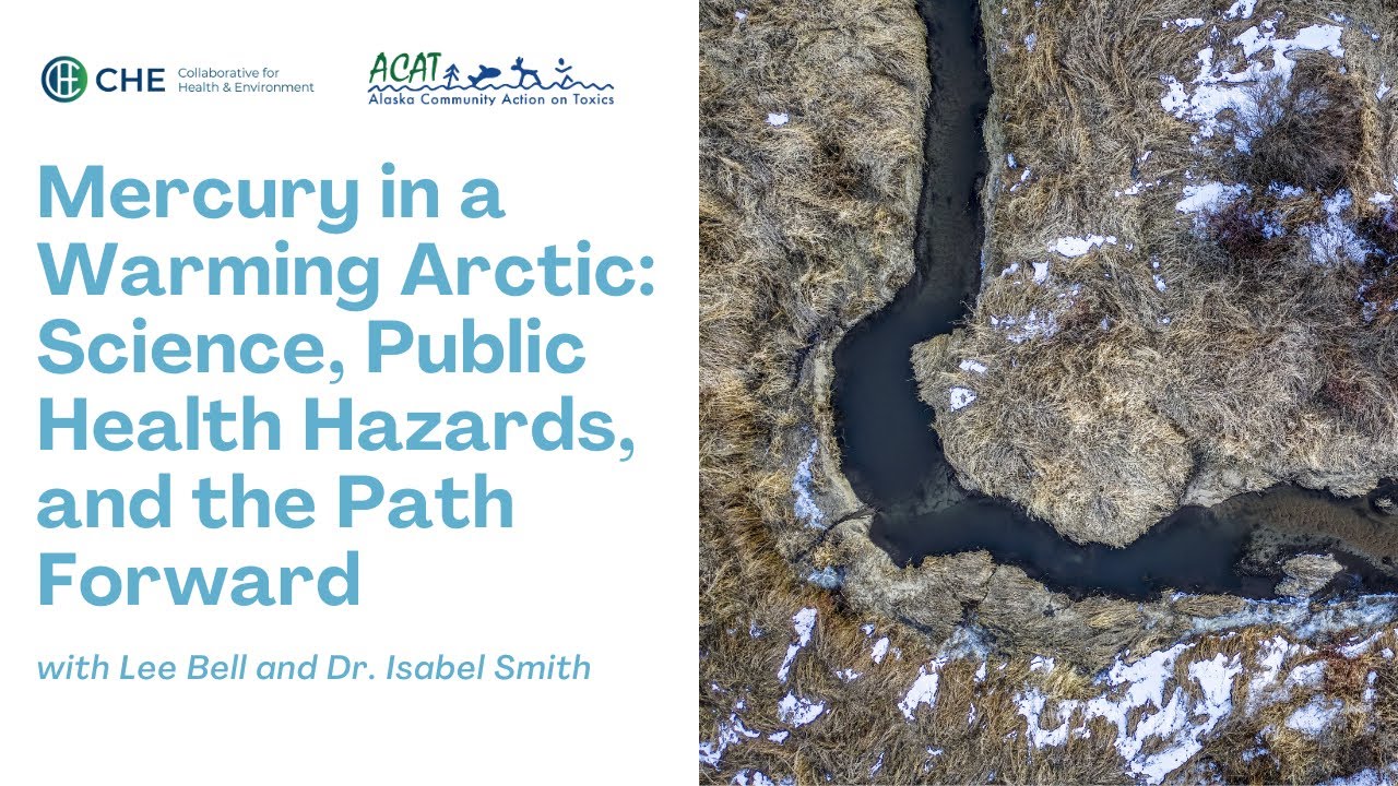 Mercury in a Warming Arctic: Science, Public Health Hazards and the Path Forward