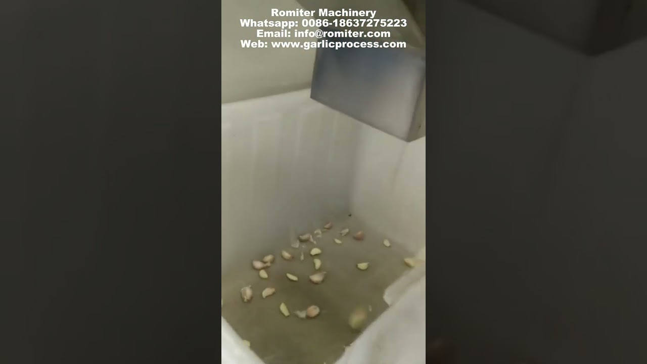 Automatic Garlic Clove Color Sorting Machine
