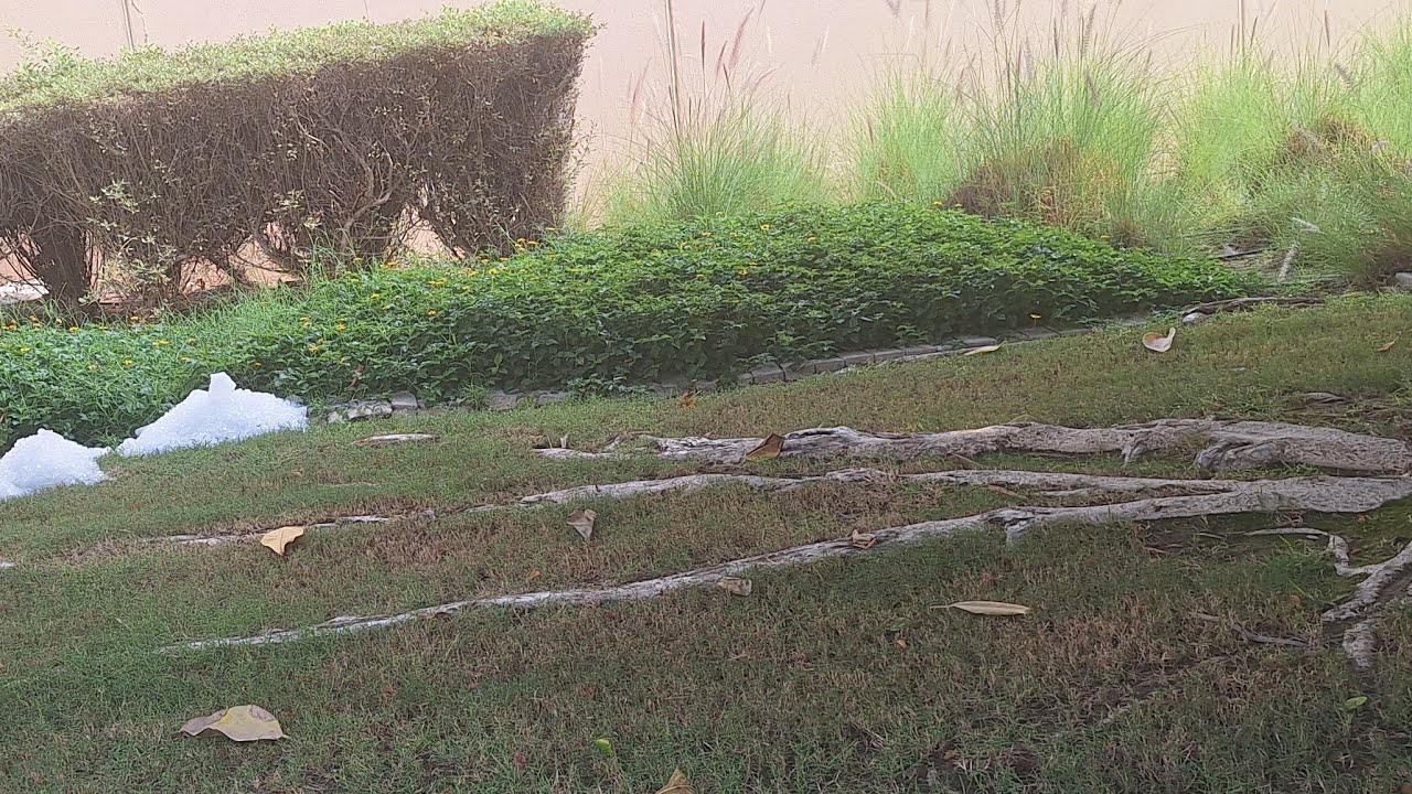 ሠላም ቤተሰብ እዴት ነችሁ