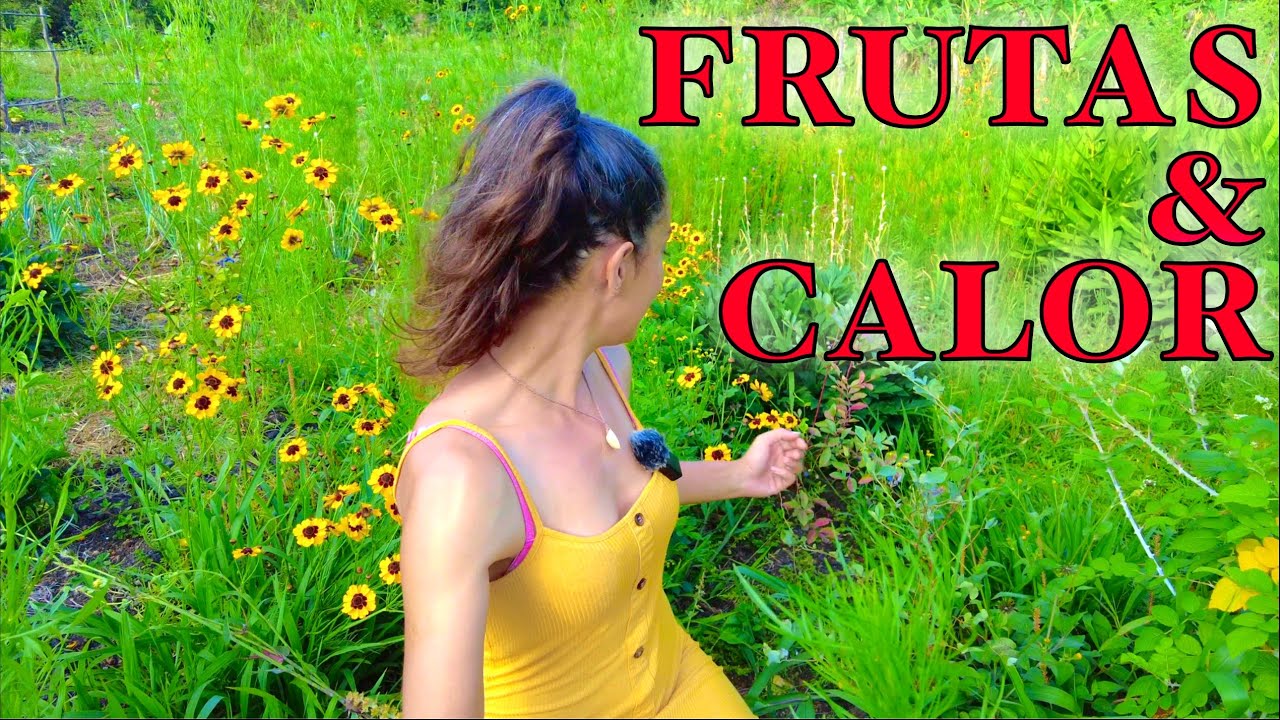 SECA e Frutas de caroço