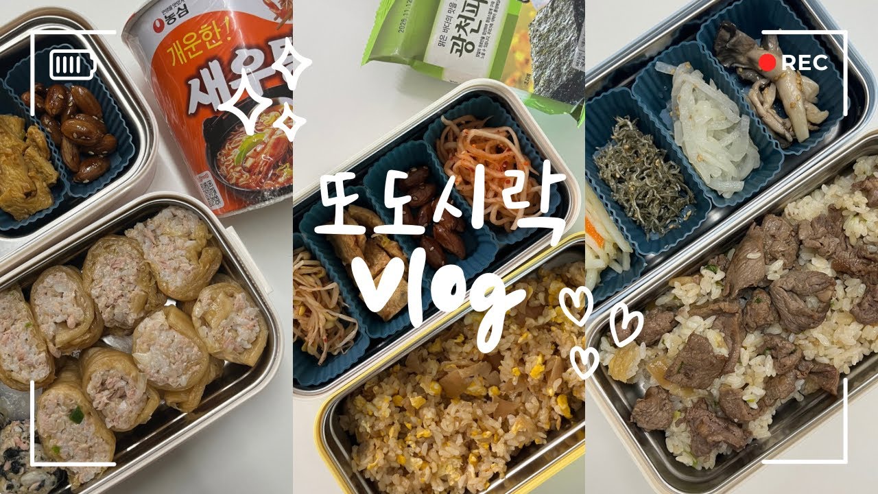 묵은지로 5가지 도시락 만들기🍱 | 집밥 도시락 | 도시락 가방 언박싱💗