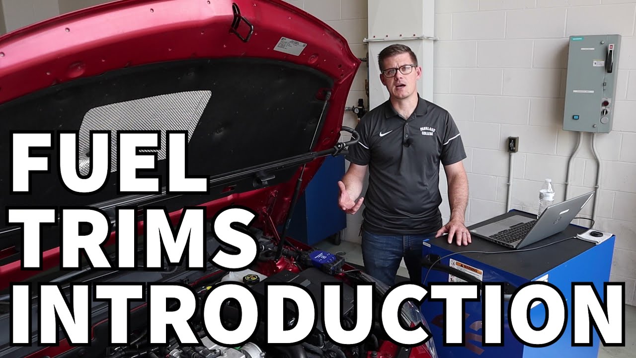 Fuel Trims: Introduction & Overview