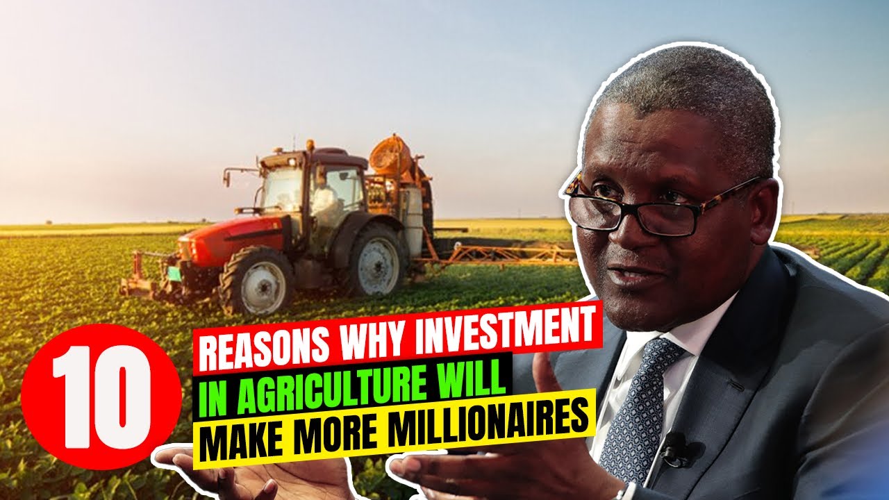 10 Reasons Why Investment Opportunities in Agriculture in Africa will create more Millionaires