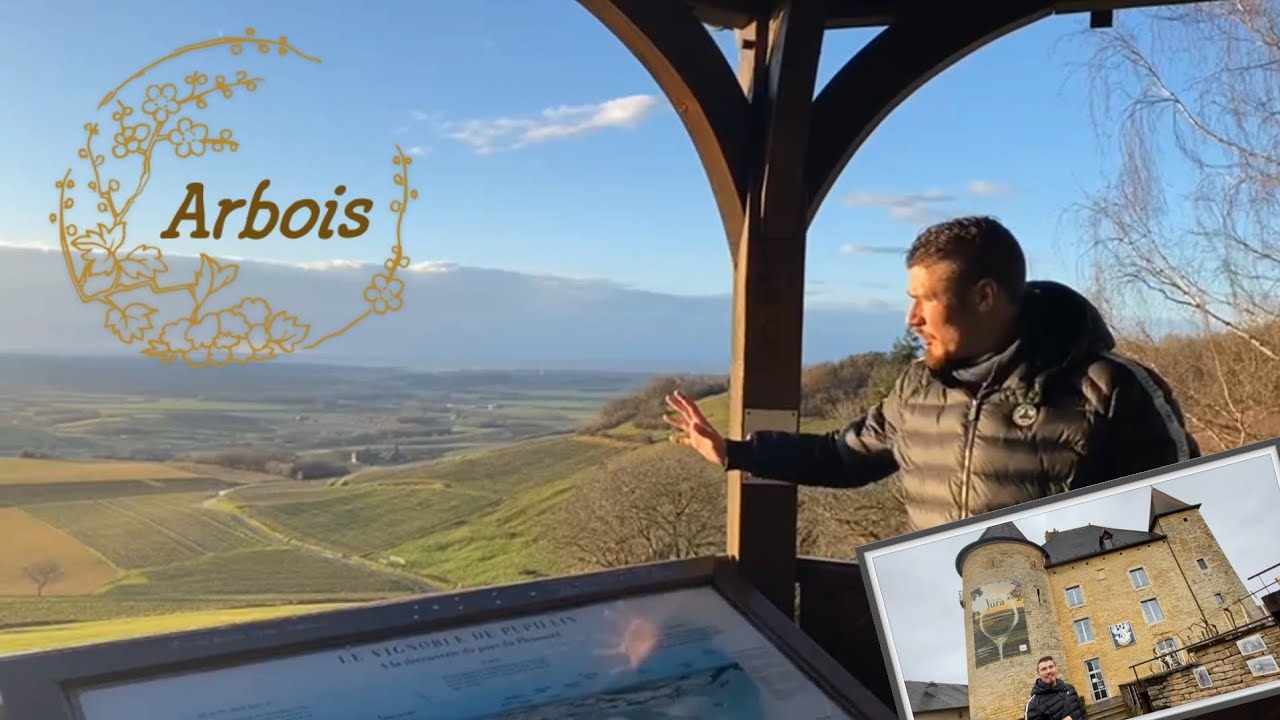 Le vignoble d'Arbois
