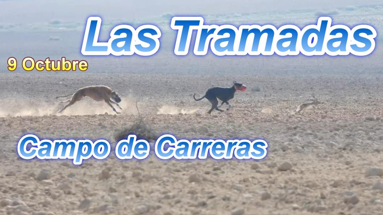 Las Tramadas Campos de Carreras I y II, 9 de Octubre