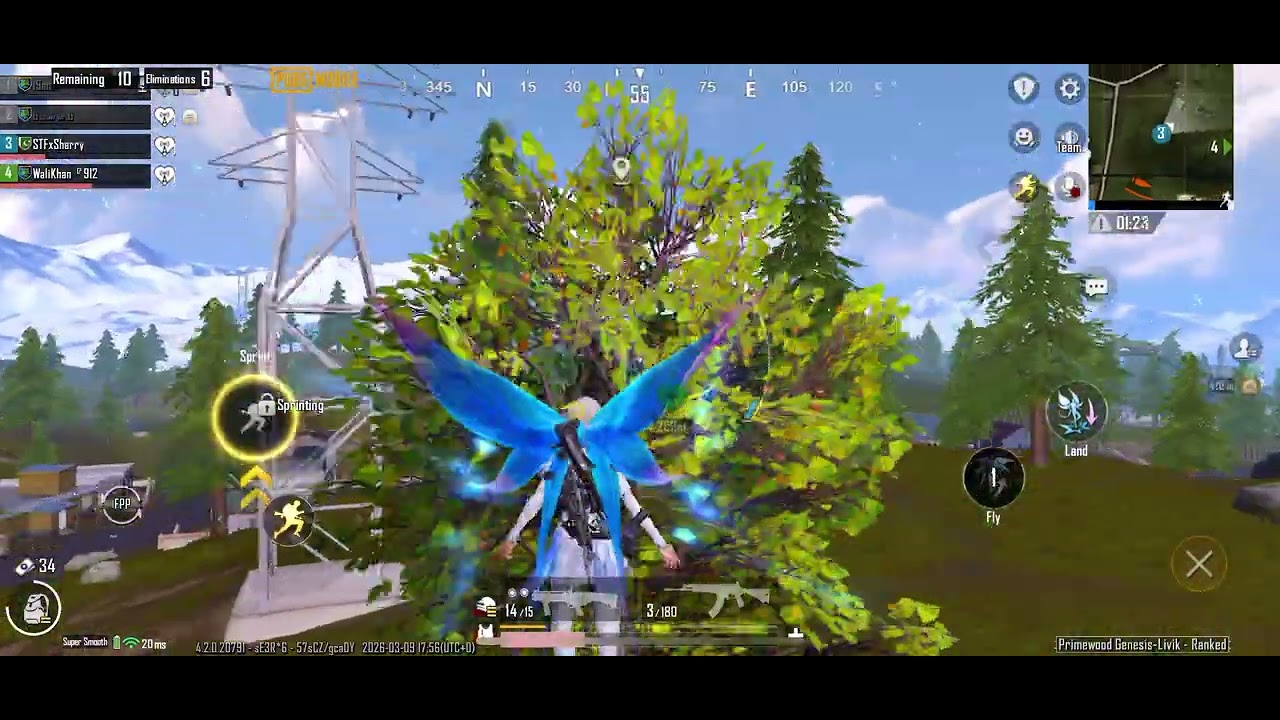 Pub g mobile rank push 