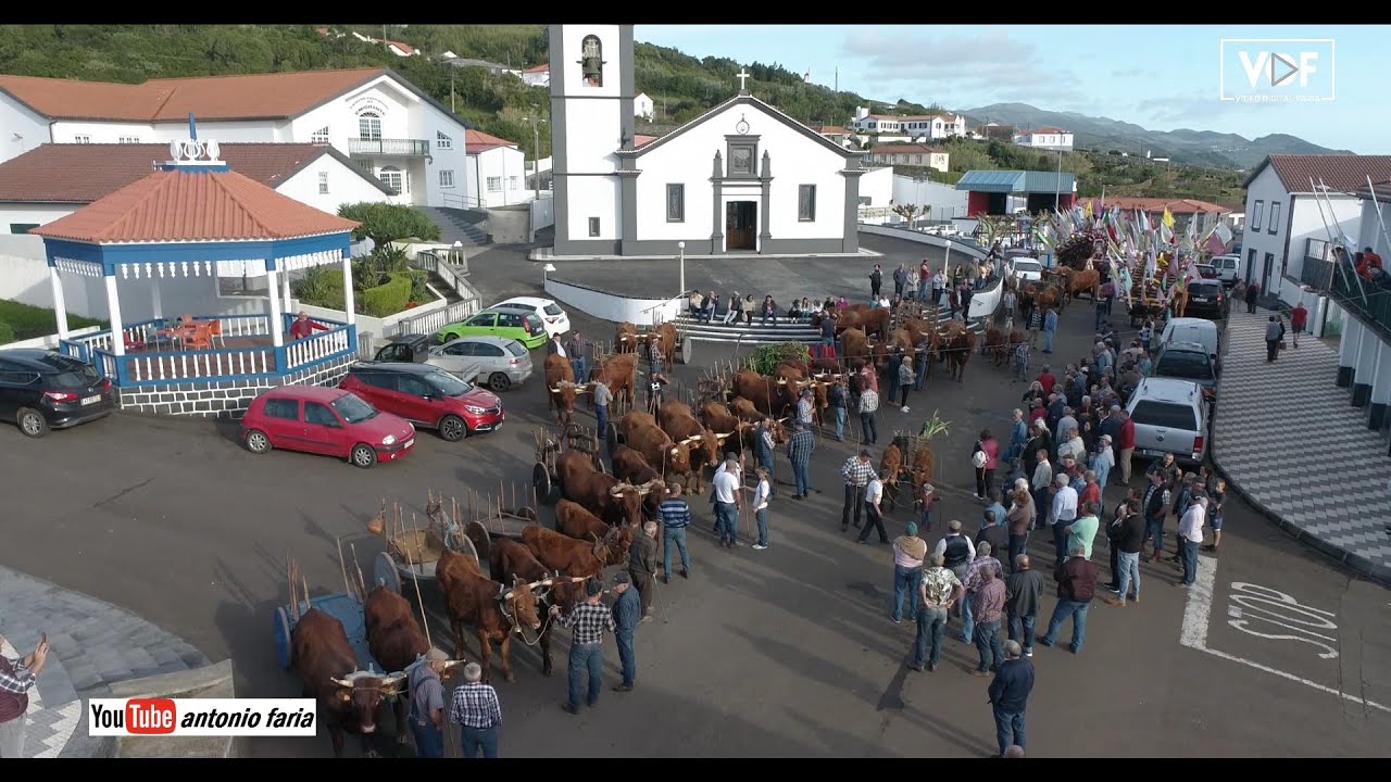 Cortejo carros bois da Raça Ramo Grande 2022 Ilha São Jorge