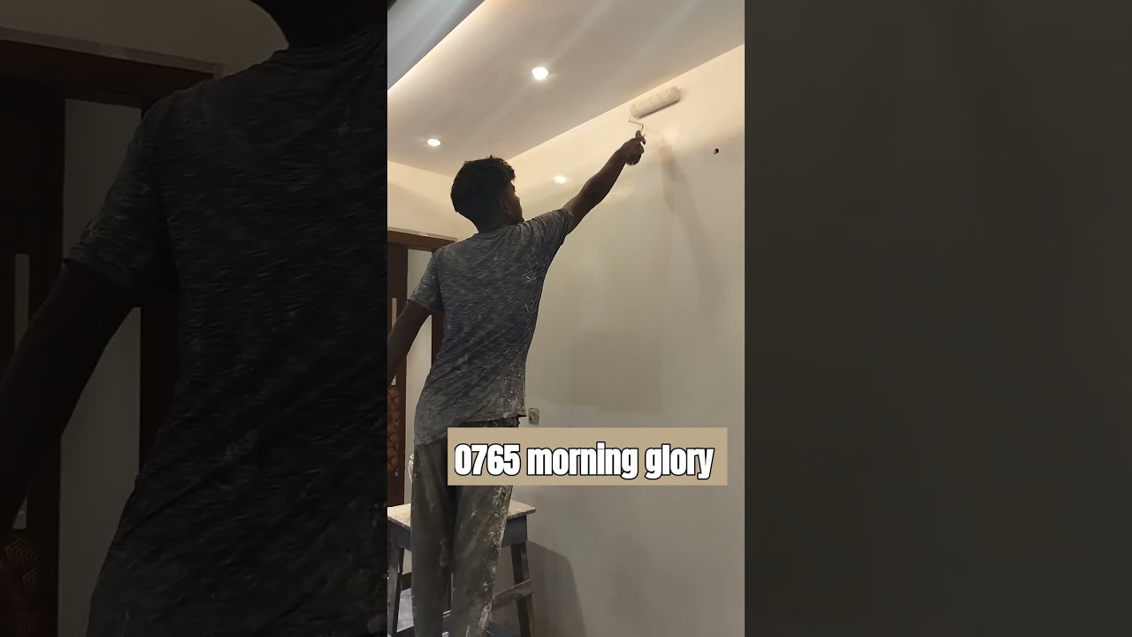 0765 asian paints morning glory all architects choices #asianpaints #painting #painterslife #shorts