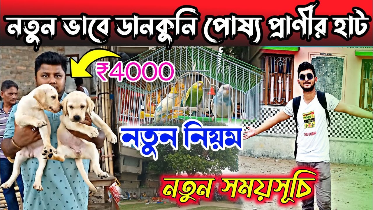 Dankuni Pet Market New update🔥 l Pardankuni Pet Market new adress | New Timing Dankuni pet market।