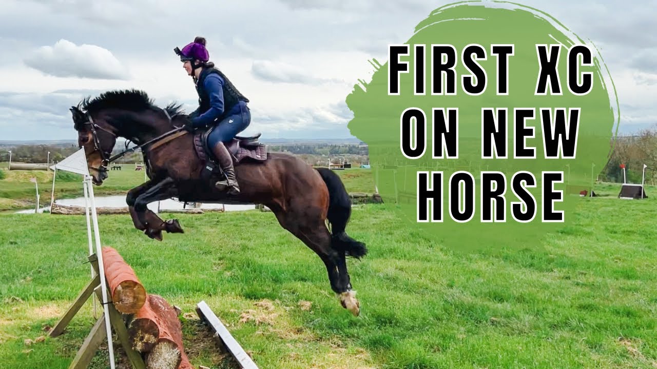 FIRST XC TRAINING| My new horse is EPIC! INC GoPro