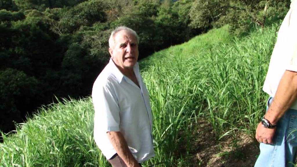 PASTAGENS PAULO ACCACIO