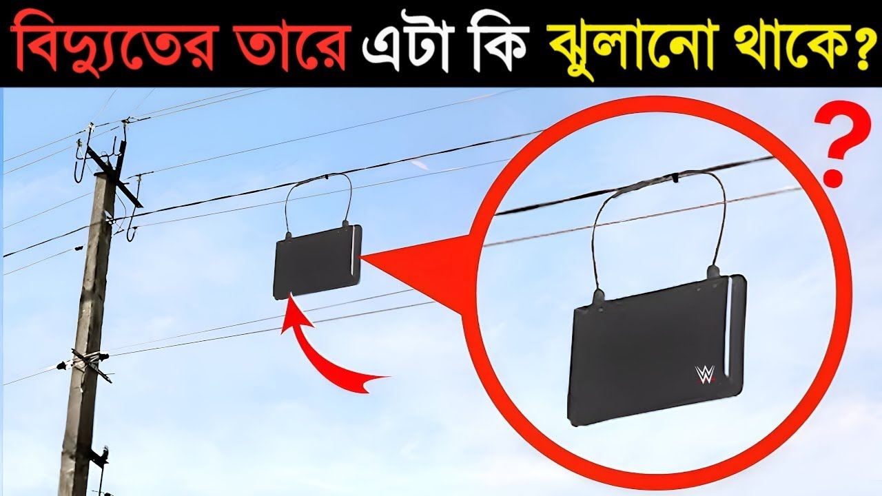 বিদ্যুতের তারে মেয়েদের পার্সের মত এটা কি ঝুলানো থাকে? অবাক হবেন | Why There is a Purse on Wires?