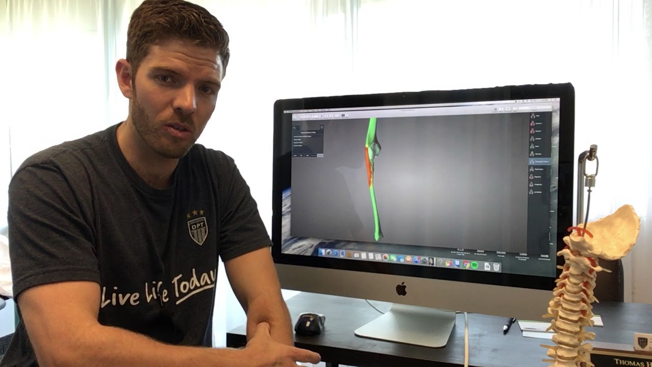 Soft tissue and stretch supinator