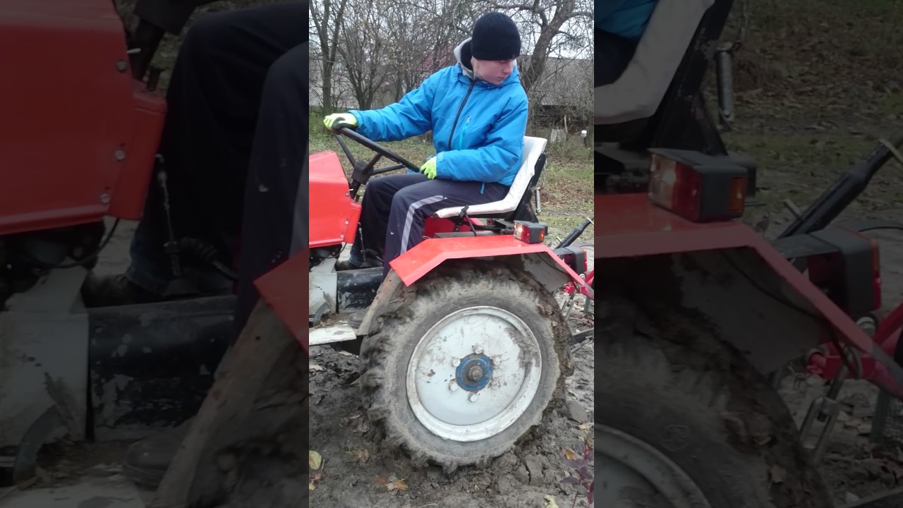 Tur10d wyrównywanie po sadzeniu borówki